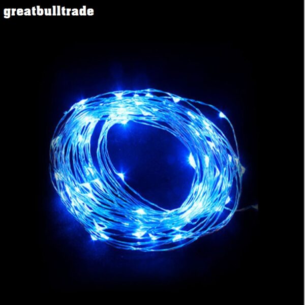 LED copper wire string color flashing lights